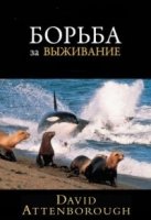 BBC: Борьба за выживание/BBC: The Trials of Life