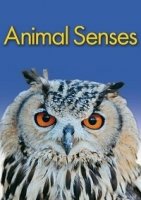 Чувства животных/Animal Senses