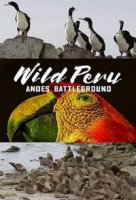 Дикая природа Перу: арена боев – Анды/Wild Peru: Andes Battleground