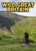 Дикая природа Великобритании/Wild Great Britain