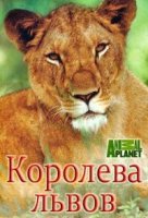 Королева львов/The Lion Queen