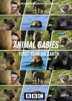 Малыши в дикой природе: первый год на земле/Animal Babies: First Year on Earth