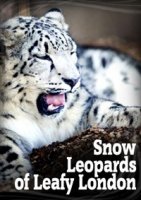 Снежный барс в зеленом Лондоне/Snow Leopards of Leafy London