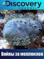 Войны за моллюсков/Dive Wars Australia 3 сезон