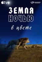 Земля ночью в цвете/Earth at Night in Color 2 сезон