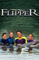 Флиппер/Flipper 1 сезон