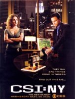 Место преступления: Нью-Йорк/CSI: NY 5 сезон