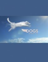 Собаки могут летать/Dogs Might Fly