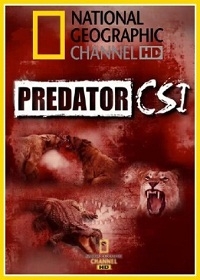 Следствие по делам хищников/Predator CSI 1 сезон