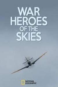 Воздушные асы войны/War Heroes of The Skies