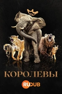 Королевы (2024)/Queens