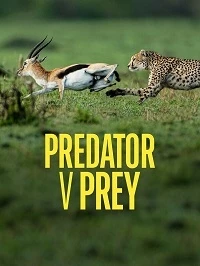 Хищник против жертвы/Predator v Prey