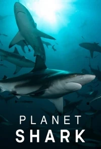 Планета акул/Planet Shark