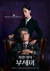 Госпожа Инкогнито/Jakhan yeoja Bu Semi