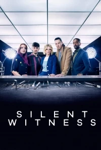 Безмолвный свидетель/Silent Witness 29 сезон