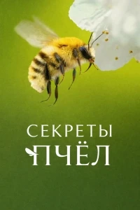 Секреты пчел/Secrets of the Bees